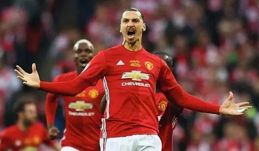 马丁内利梅 马丁内利梅