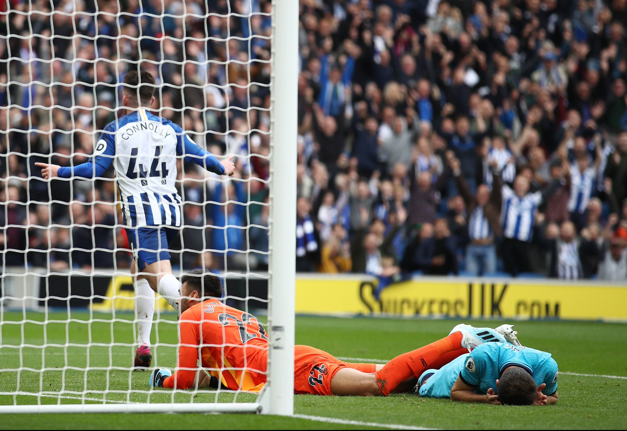 忠誠已經成 忠誠已經成