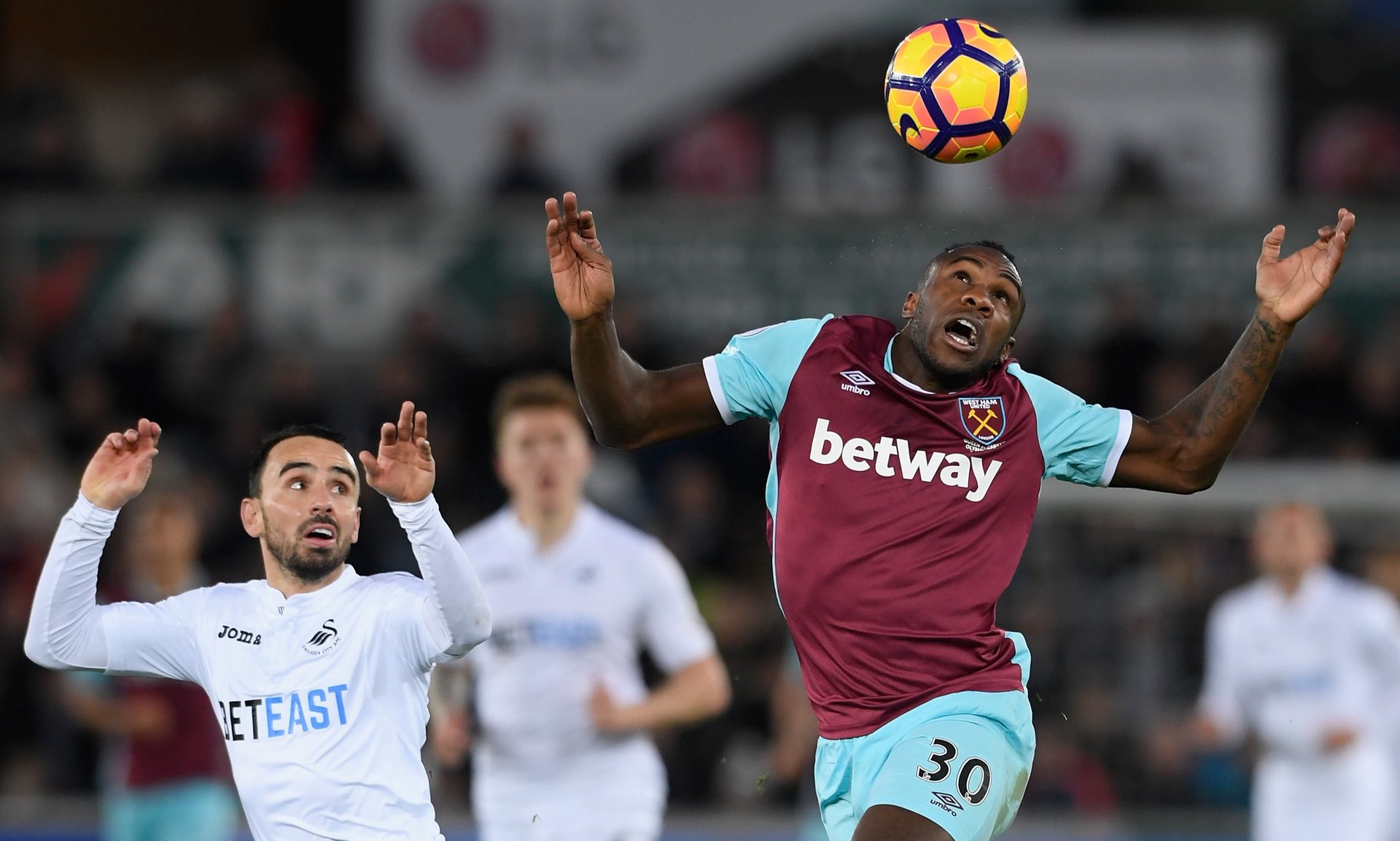 备受瞩目的 备受瞩目的